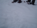 DSC03628