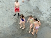 Pattes_courtes-2013_911_174