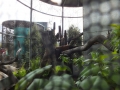 DSCF3981