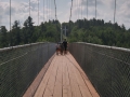 20180701_101120_HDR