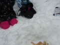 20170129_100620