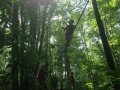 Photo 2015-07-06 14 06 45