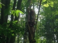 Photo 2015-07-06 14 35 19