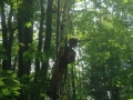 Photo 2015-07-06 14 45 09