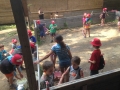 Photo 2015-07-06 15 25 29