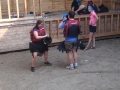 Photo 2015-07-06 16 12 47