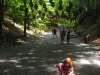 IMG_8119 (960x1280)