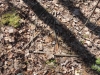 intercolonie_2013_200