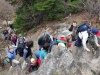 pattes-courtes_mont_ham_2013_005
