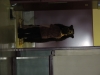 dscn0033