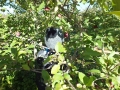 DSCF4198