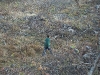 Metshu_camp_promesse_2010_003