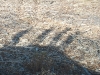 Metshu_camp_promesse_2010_056