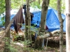metshu_camp_ete_2013_023