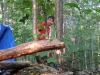 metshu_camp_ete_2013_044