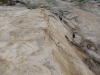 metshu_camp_ete_2013_068