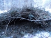 metshu_camp_dhiver_2013_025