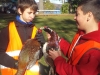 metshu_faisans_2013_012