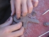 [Volcano]CampEte2008_142