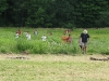 [Volcano]CampEte2008_277