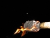 [Volcano]CampEte2008_370