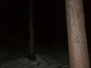 promesse2007_056