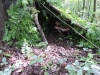 DSCN3420