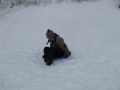 IMG_3300.JPG