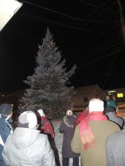 geyser_sapin_2013_007