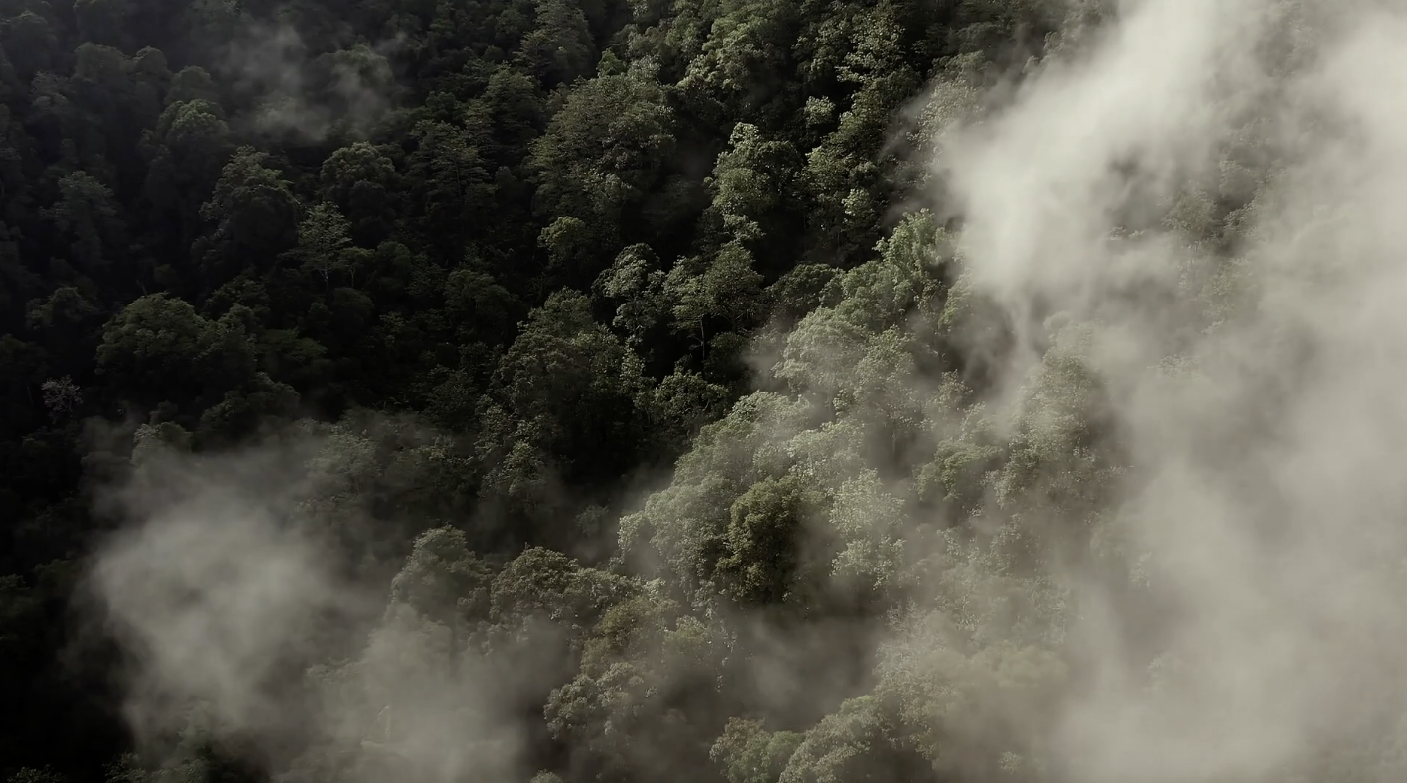 C’est le Défi Grand Prix Forêt enchantée la semaine prochaine!